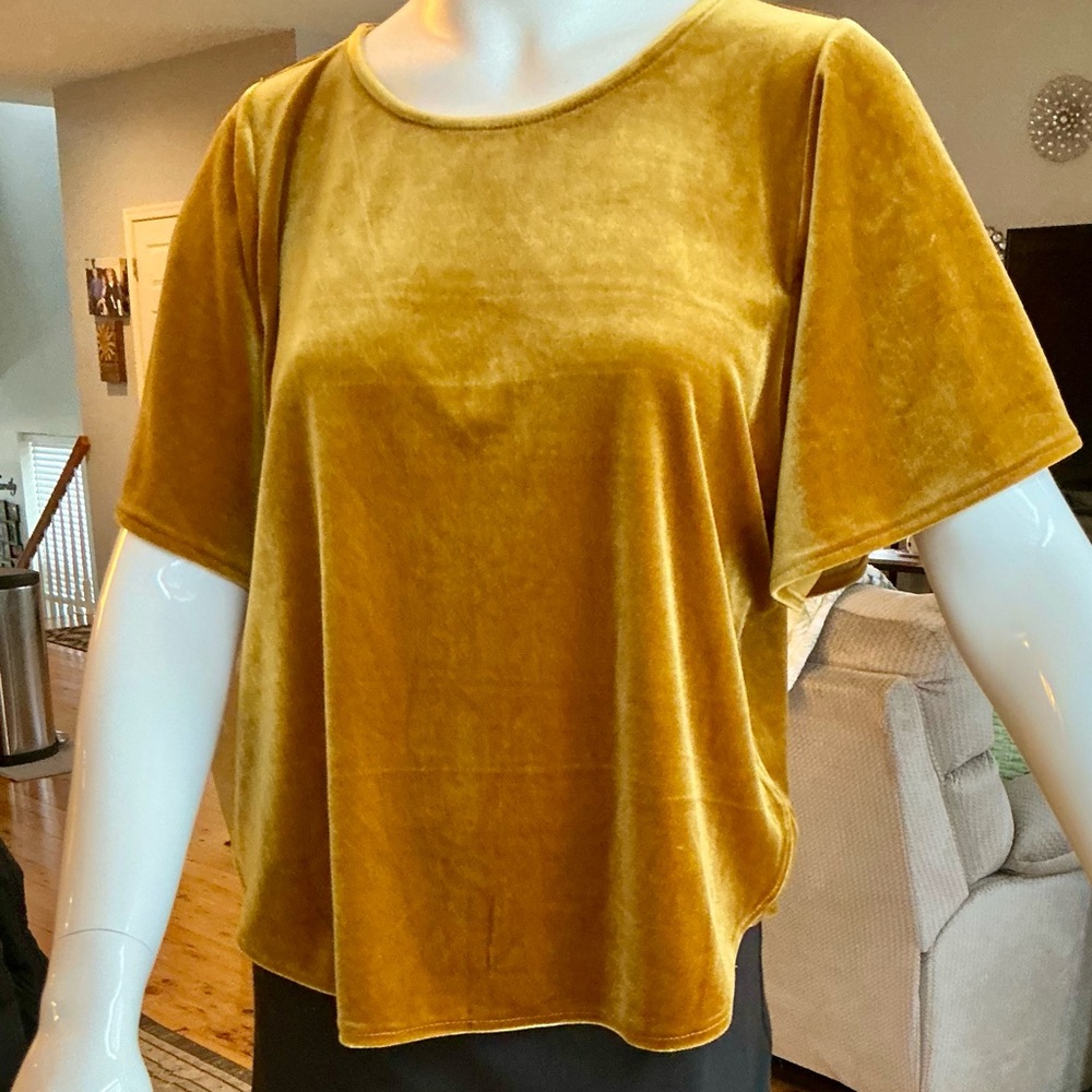 Madewell Rich Marigold Velvet Butterfly Flutter Pullover Womans Top Size Medium